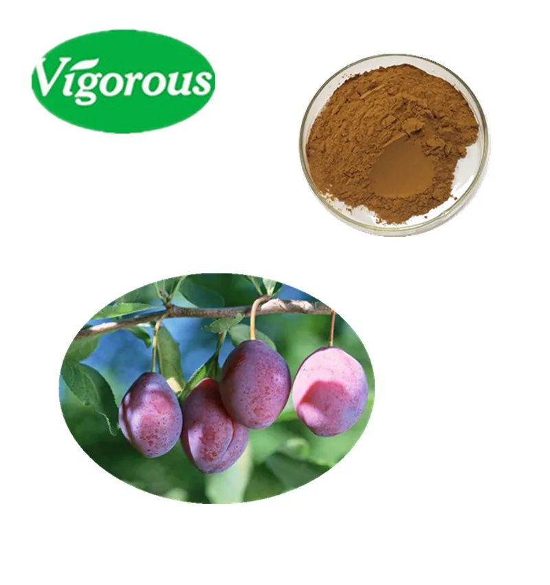 Natural Prunus Domestica 101 Dark Plum Extract Buy Plum Extract,Dark Plum Extract,Plum Fruit