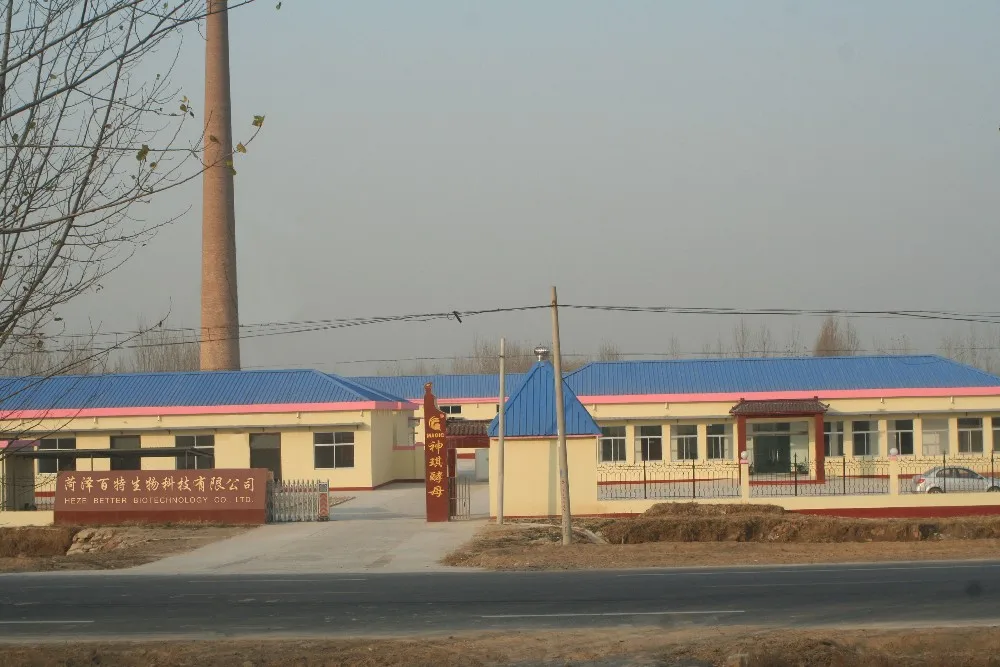 Wholesale Concentrate Flavoured Fruits Drink Powder In Bulk Or Sachets