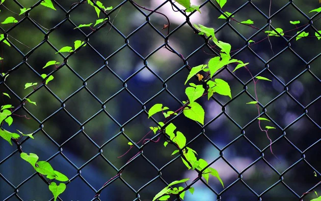 Craigslist Used Construction Temporary Chain Link Fence For Sale Craigslist View Chain Link Fence For Sale Craigslist Shengsen Product Details From Shenzhou City Shengsen Metal Products Co Ltd On Alibaba Com Craigslist Used Construction Temporary Chain Link Fence For Sale Craigslist View Chain Link Fence For Sale Craigslist Shengsen Product Details From Shenzhou City Shengsen Metal Products Co Ltd On Alibaba Com