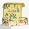 Custom Printed Corrugated Cardboard Ecommerce Packaging Shipping Mailer Boxes