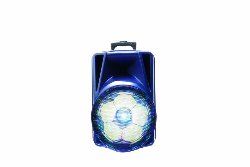 tailgate speaker with microphone