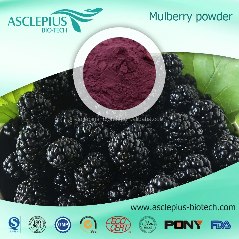 Mulberry Extract Powder /mulberry Juice Powder Supplier Wholesale Buy