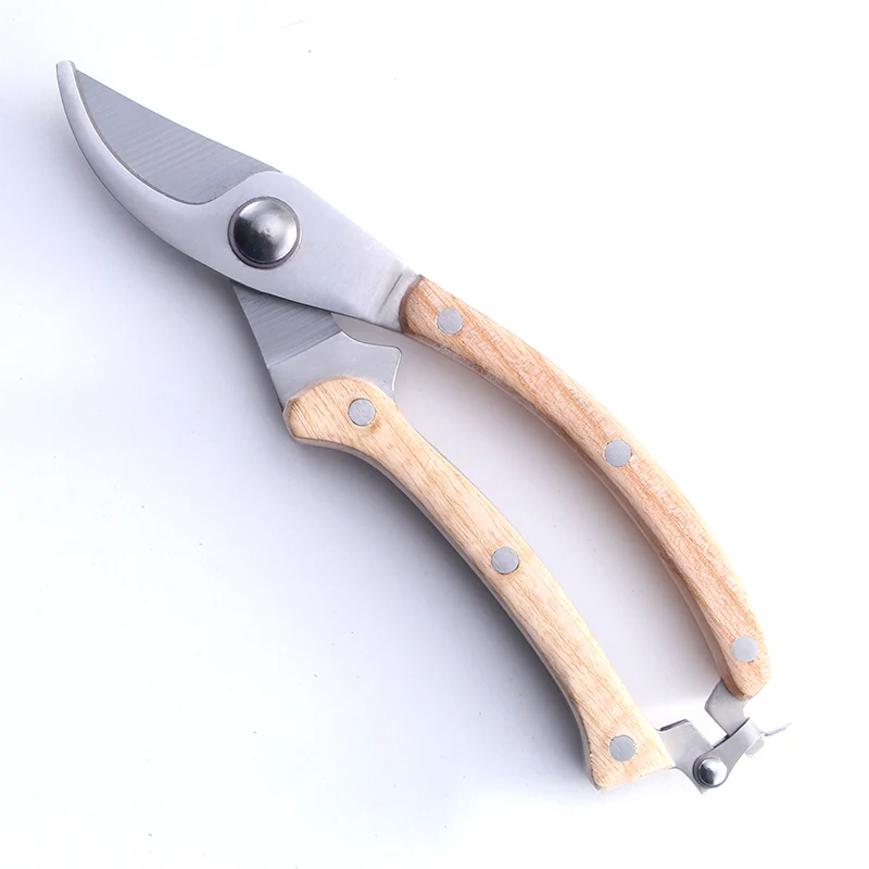 Fs006 Flower Cutting Stainless Steel Pruning Scissors Plastic Handle