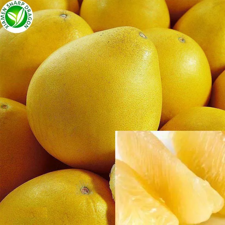 Organic Fresh Grapefruit Pomelo With Best Price Buy Fresh Pomelo