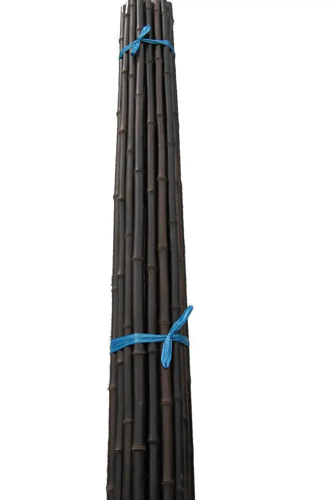 YS5919.jpg
