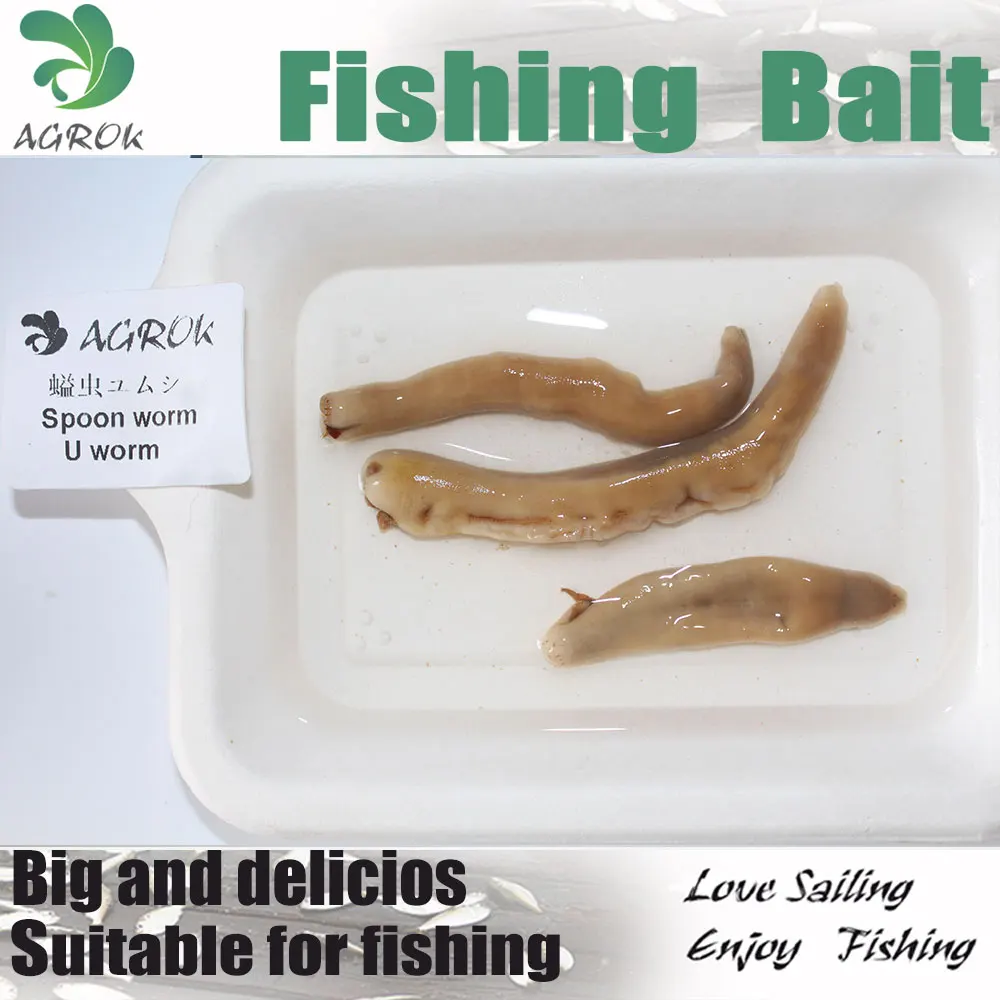 Agrok Natural Fishing Bait Freeze Dried Spoon Worm Buy Fishing Bait