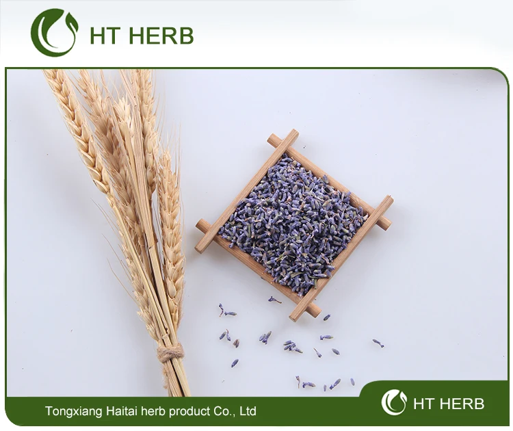 2019 new HERB Lavender bags Lavender Dried Tea - 4uTea | 4uTea.com
