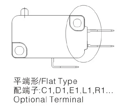 E1 shape2.png