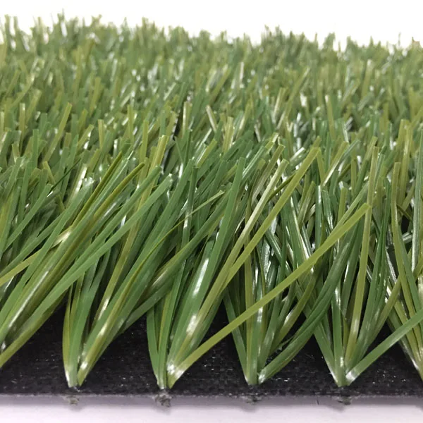 D28 football grass.jpg