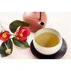 Import Good Price Camellia green tea For Sale