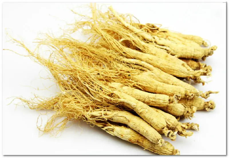 panax ginseng kering akar ginseng ginseng putih panax ginseng kering akar ginseng ginseng putih