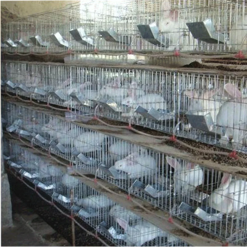Easy Clean Commercial Rabbit Cage For Sale Used In Kenya Buy