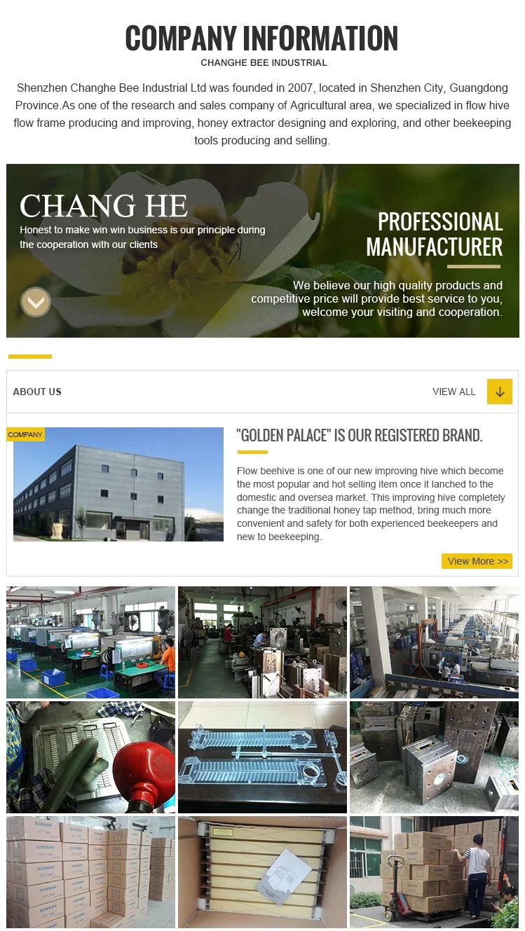 company information.png