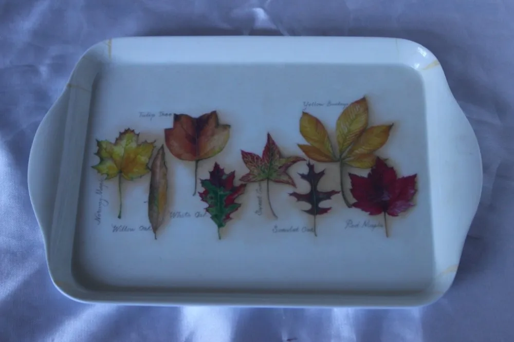 8.2inch melamine tray
