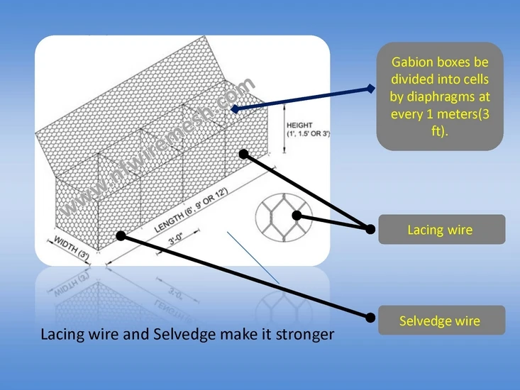 Holland wire mesh4.jpg