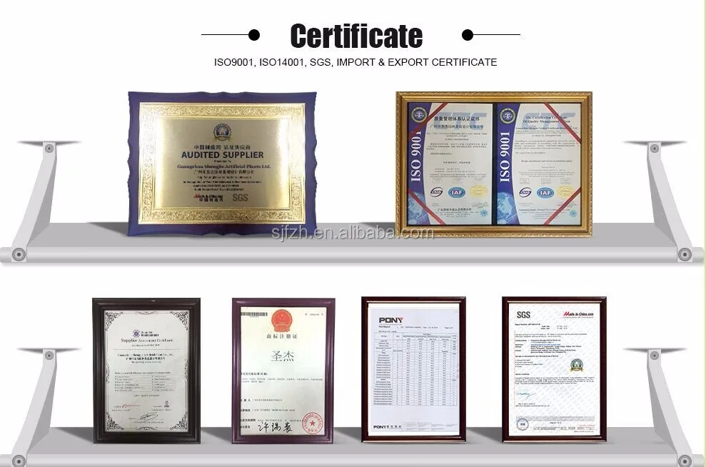 certificates.jpg