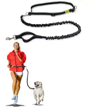 handsfree bungee dog leash