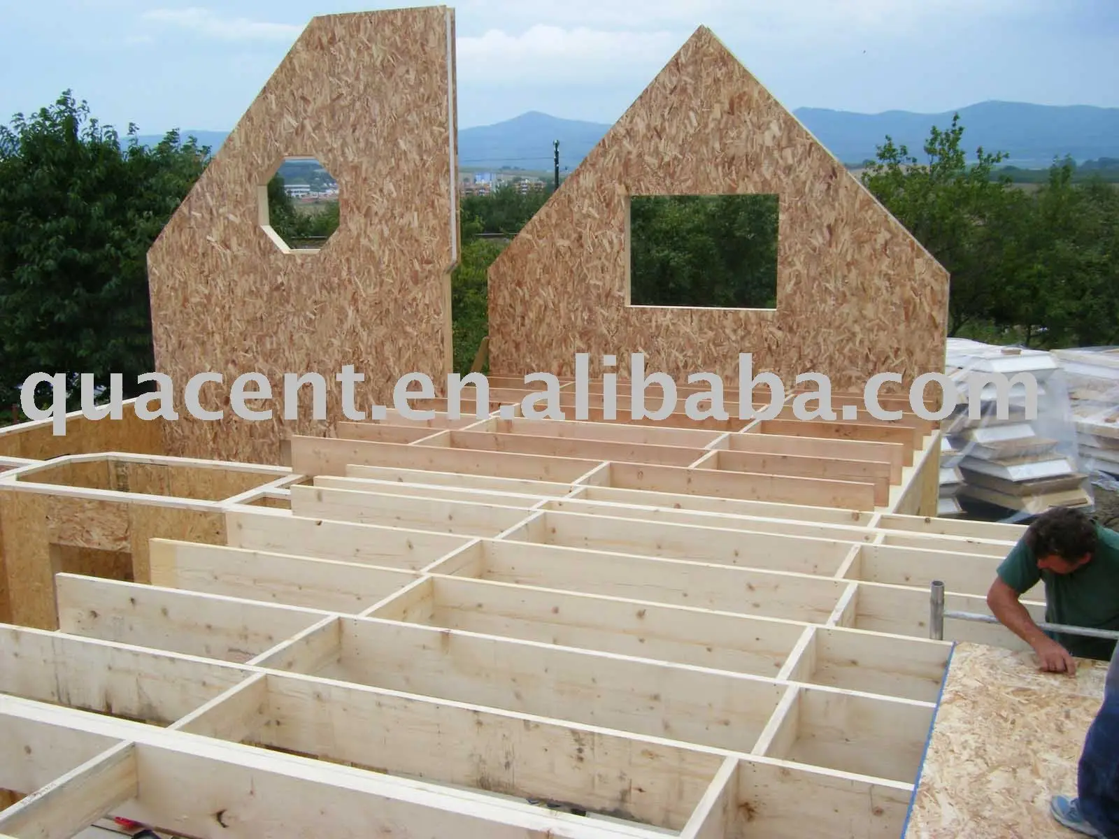 Strutturale pannelli coibentati ( sorsi ) altri materiali isolanti ...