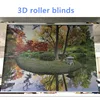Nice roller blinds including all components & chain printed roller blinds