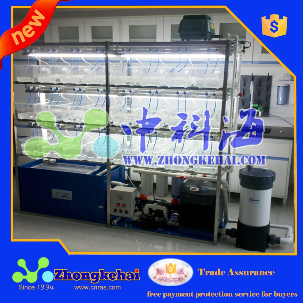 Aquaculture System For Zebrafish,Breed Zebrafish - Buy Zebrafish Breed