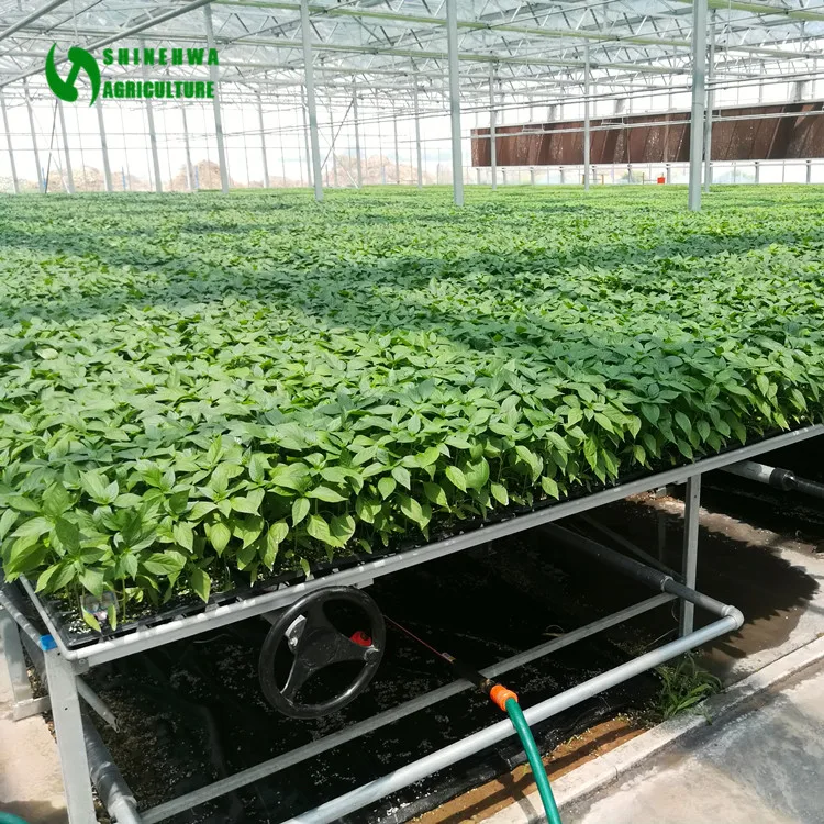 Nursery Equipment Planting Table Greenhouse For Agricultural View Nursery Equipment Planting Table Greenhouse For Agricultural