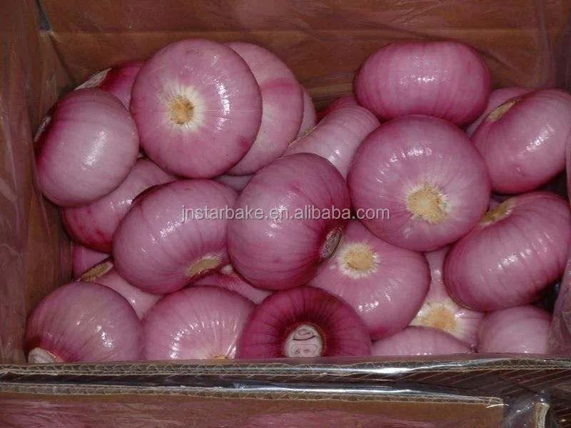 洋葱剥皮机/洋葱削皮机/洋葱去皮机 - buy onion peeling machine