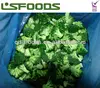 Perfect New season IQF frozen broccoli