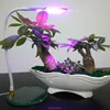 2016 Best 3w Cheap Led Grow Lights Red Blue Uv