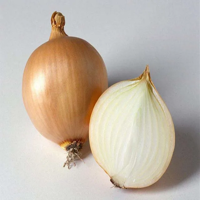 golden onion price