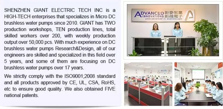 company information W1.jpg