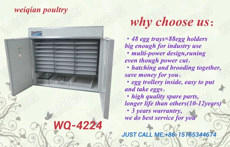 2016 Hottest Egg Hatchery Price /egg Incubator For Sale Wq ...