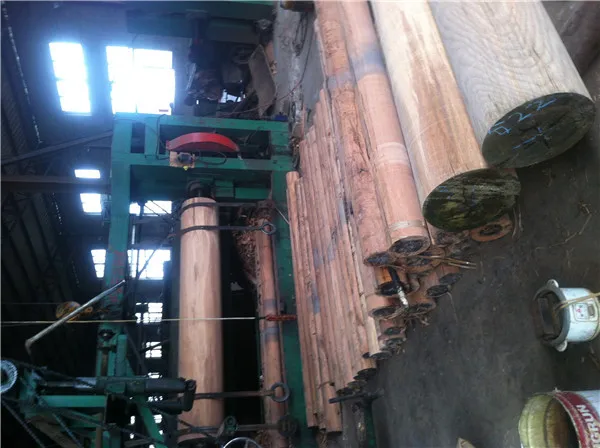 chinese low price natural gurjan veneer ,PLB veneer, for india market