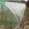 HDPE with uv resistance plant covers mesh anti insect net/insect mesh net