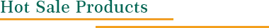 Hot Sale Products.png