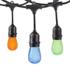 Free Sample 125 Wattage PVC E26 Tropical String Lights