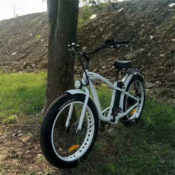 big tyre electric bike