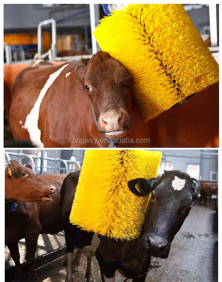 High Quality Automatic Cleaning Cattle Roller Brush And Farm