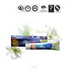 50 grams travel case mini natural toothpaste dental kits fluoride toothpaste with brush