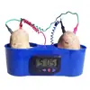 HM-PM009 NINGBO HUAMAO Potato Clock with No Mess Holder, Fruit Clock