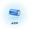 Flat top 14250 3.6v lithium battery 1/2aa 14250 Li-ion battery 300mah with tab