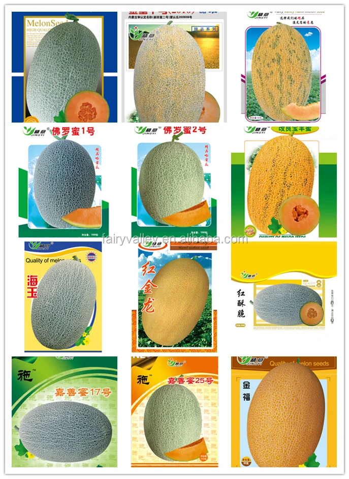 high diseases resistance hybrid muskmelon seeds ham