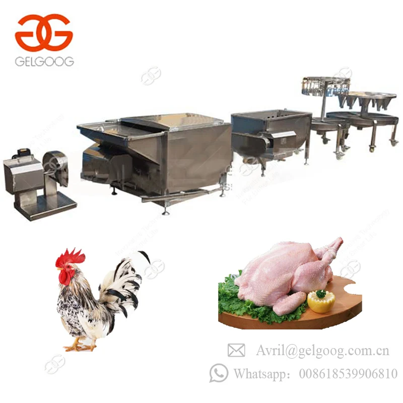 High Efficient Chicken/poultry Dividing Machine|small Chicken Cutting ...