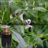Best Price herbal medicine andrographis paniculata extract distributors