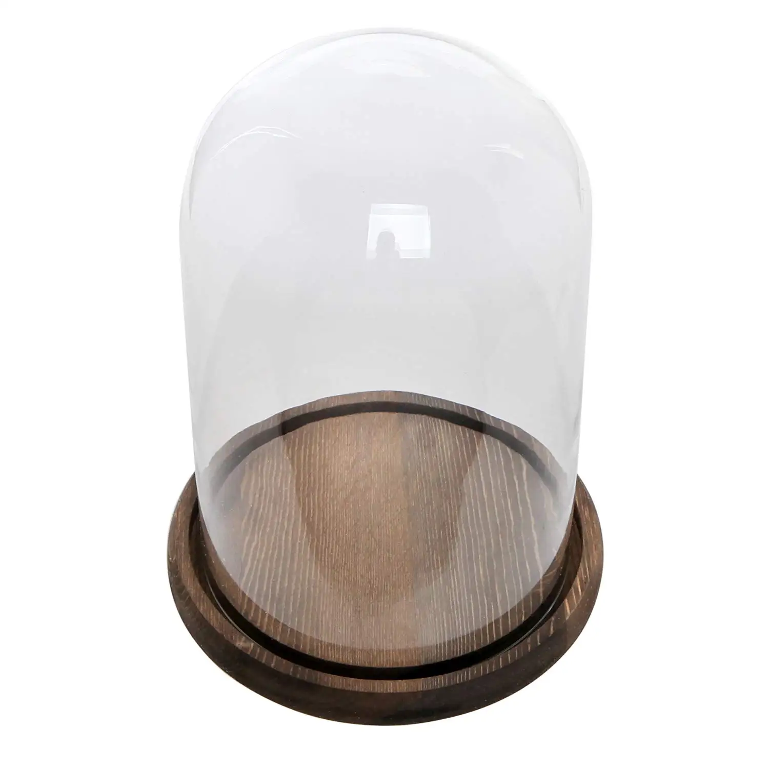 CLEAR GLASS BELL JAR (5).jpg