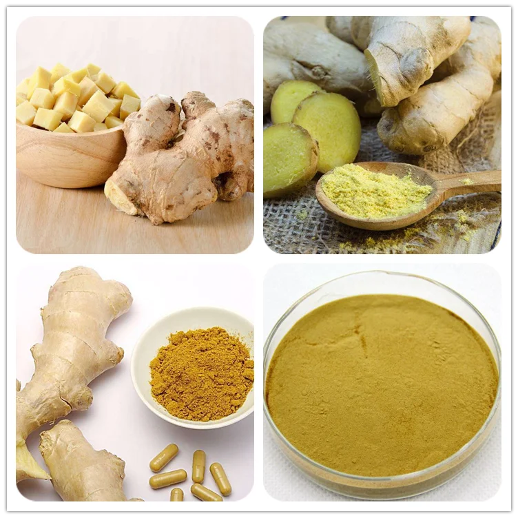 100 Pure Ginger Extract Organic Zingiber Officinale Root Powder Buy