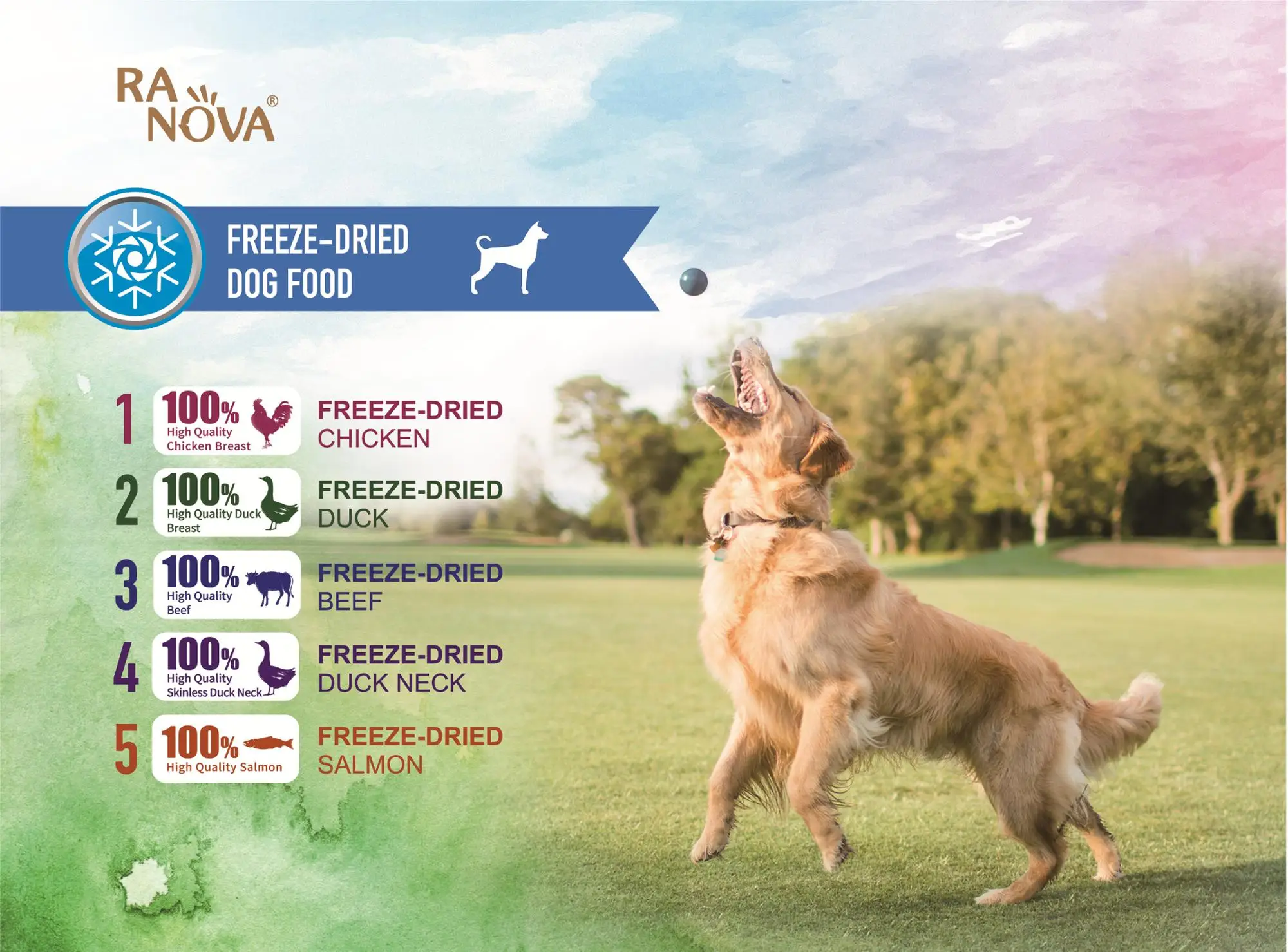 freeze dried dog food