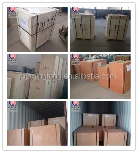 PACKINGS 7.jpg