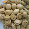 Best Price Canned mushroom/champignons from China