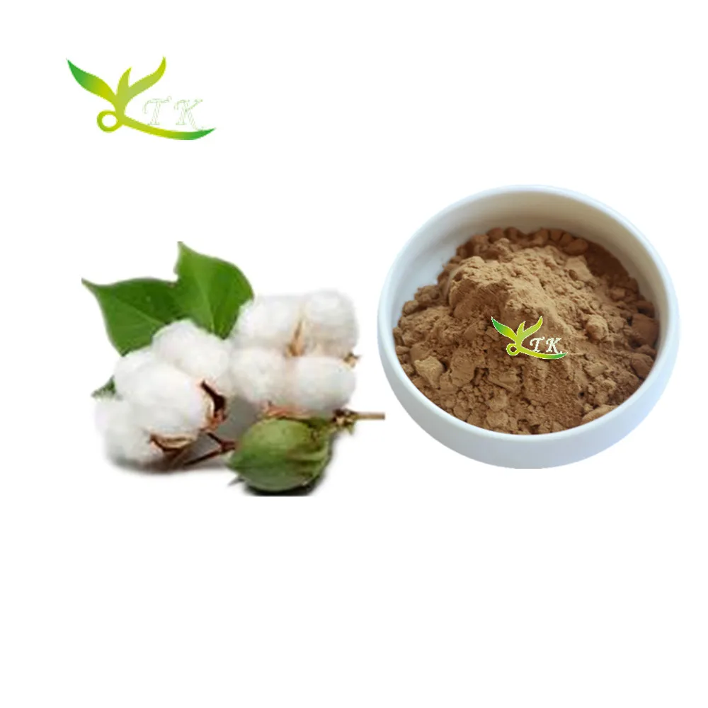 High Quality Cotton Seed Extract Acetate Gossypol Powder Buy Cotton