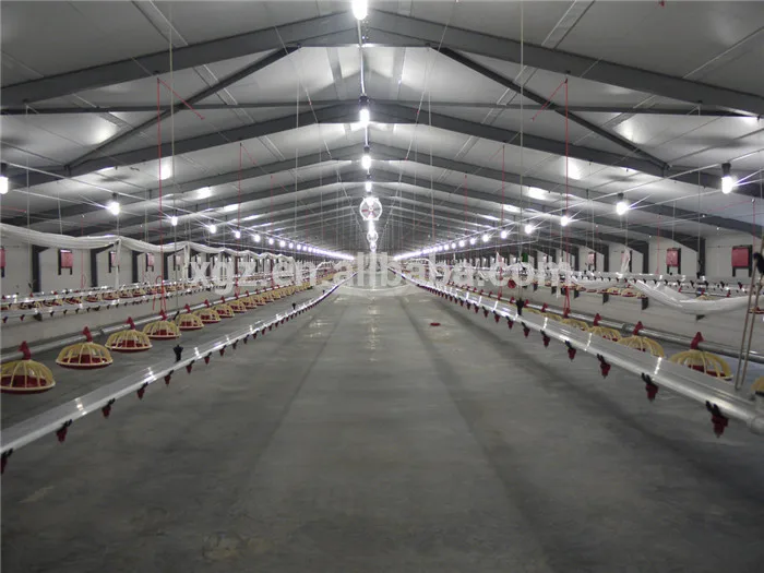 Automatic prefab commercial poultry housing